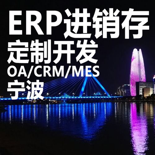 宁波erp进销存软件系统定制开发mes生产crm客户oa办公hr管理系统